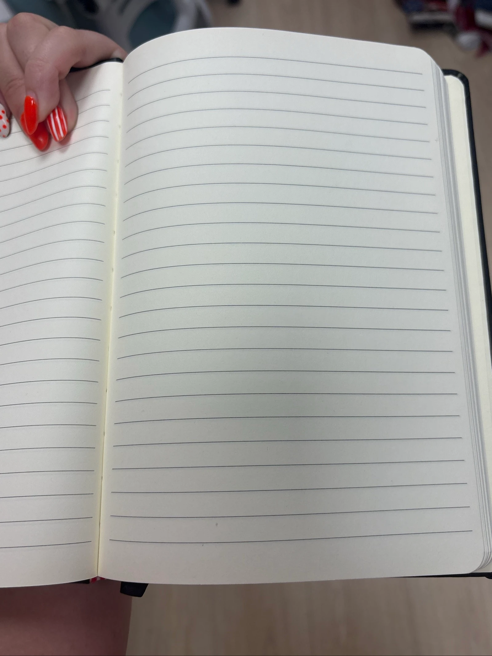 Caderno novo – photo 3